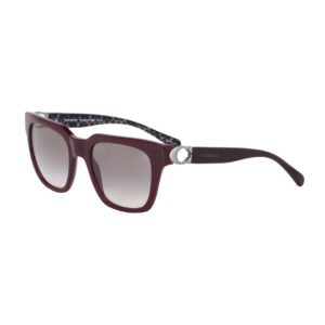 Coach Elegant Burgundy Sunglasses
